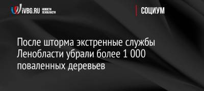 После шторма экстренные службы Ленобласти убрали более 1 000 поваленных деревьев