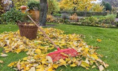 Тюменцам на заметку: что осенью садоводам делать с листвой?
