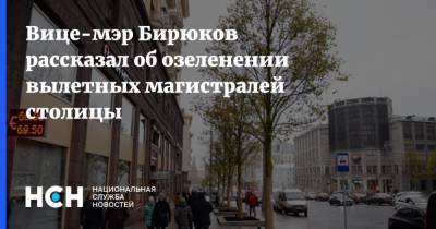 Вице-мэр Бирюков рассказал об озеленении вылетных магистралей столицы