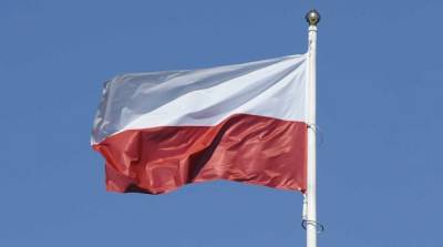 Евросоюз приставил Польше пистолет к виску – СМИ