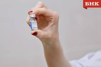 МВД ищет в Коми продавцов фиктивных сертификатов о вакцинации
