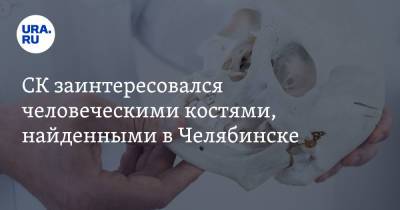 СК заинтересовался человеческими костями, найденными в Челябинске