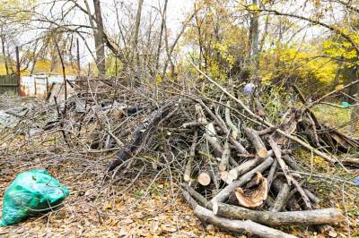 Несколько сотен тонн мусора вывезли с левобережной рощи в Ростове