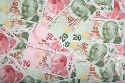 Турецкая лира обновила исторический минимум после заявления Эрдогана о высылке послов
