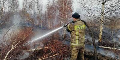 В МЧС заявили о ликвидации тления торфяника на юге Екатеринбурга