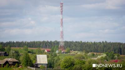 На «Госуслугах» выбирают деревни, куда провести интернет: в список попал Екатеринбург