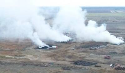 Тюменцы устали от дыма и запаха: осталось сжечь около миллиона тушек птиц