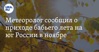 Метеоролог сообщил о приходе бабьего лета на юг России в ноябре