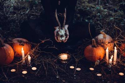 Жители Новосибирска скупают на Хеллоуин костюмы зомби, вампира и Гарри Поттера
