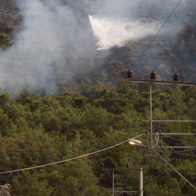 Семь россиян задержаны в Турции по подозрению в поджоге леса