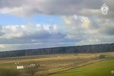 Названы версии крушения легкомоторного самолета в Московской области