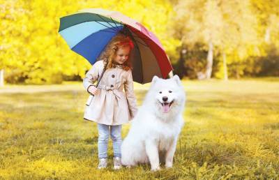 Девочка спасала собаку от дождя и покорила пользователей Сети. Посмотрите, какая милота – некоторые плакали! (ВИДЕО)