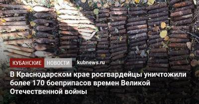 В Краснодарском крае росгвардейцы уничтожили более 170 боеприпасов времен Великой Отечественной войны