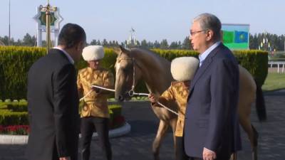 Президент Туркмении подарил главе Казахстана чистокровного коня ахалтекинской породы