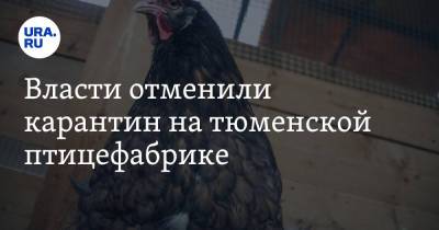 Власти отменили карантин на тюменской птицефабрике
