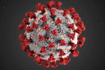 Петербуржцам объяснили правила сдачи ПЦР-теста на коронавирус