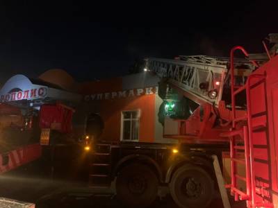 «Горела витрина»: в Кургане в магазине «Метрополис» произошел пожар