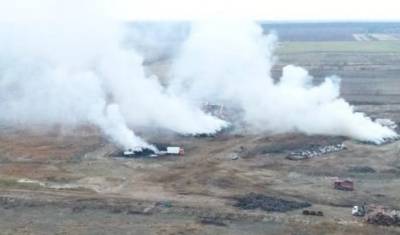 В Тюмени уничтожили около полутора тысяч птиц из частных домов