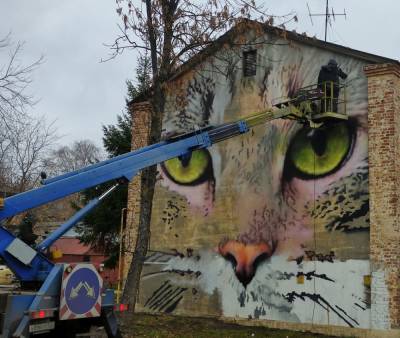 Граффити с котом появится на одном из домов на улице Культуры - vgoroden.ru - Нижний Новгород - район Сормовский
