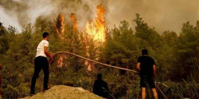 В Турции задержаны семеро россиян по подозрению в поджоге леса