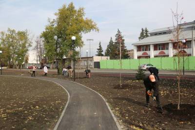 Более тысячи деревьев посадят осенью в Воронеже