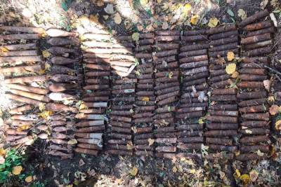 На Кубани грибник обнаружил в лесу 174 боеприпаса времён ВОВ