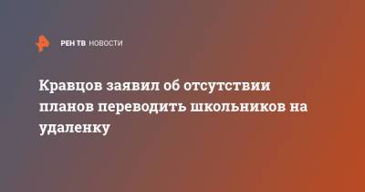 Кравцов заявил об отсутствии планов переводить школьников на удаленку