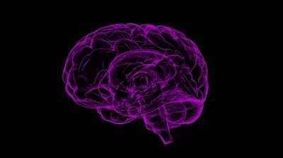 Специалисты из Университета Любека выявили негативное влияние COVID-19 на мозг