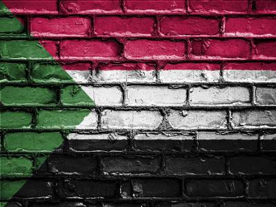 Омар Аль-Башира - Африканский союз вновь исключил из своего состава охваченный беспорядками Судан - rosbalt.ru - Судан