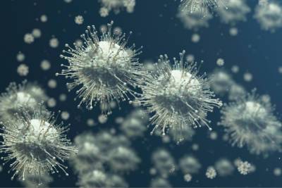 «Гонконгский грипп» нагрянул в Новгородскую область