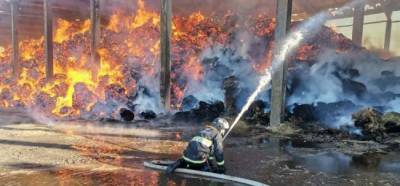 Во время пожара на белорусском льнозаводе погиб сотрудник МЧС республики