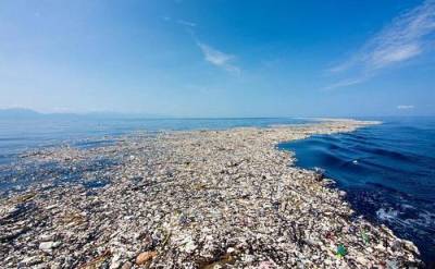 Из пластикового мусора в океане выстроилась пищевая цепочка