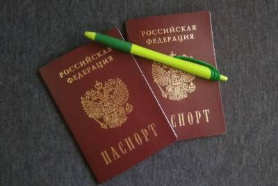 Гражданами России в упрощенном порядке стали 333 000 жителей ДНР