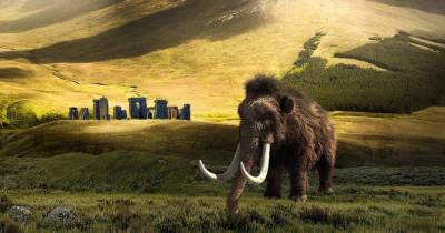 Ученые раскрыли истинную причину вымирания мамонтов в Сибири