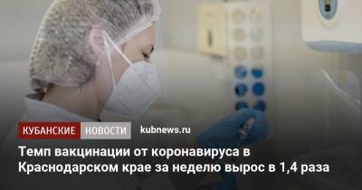 Темп вакцинации от коронавируса в Краснодарском крае за неделю вырос в 1,4 раза - kubnews.ru - Краснодарский край - Геленджик - Курганинск - Апшеронск - район Кавказский