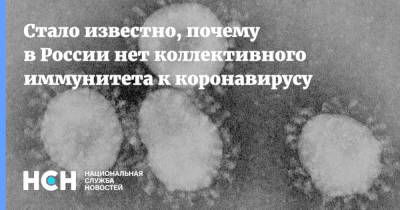 Стало известно, почему в России нет коллективного иммунитета к коронавирусу