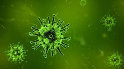 Биолог Баранова: в России не сформировался иммунитет из-за изменчивости вируса
