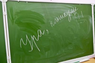 Школы Хабаровского края ушли на двухнедельный каникулы