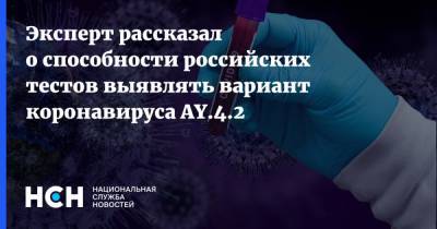 Эксперт рассказал о способности российских тестов выявлять вариант коронавируса AY.4.2