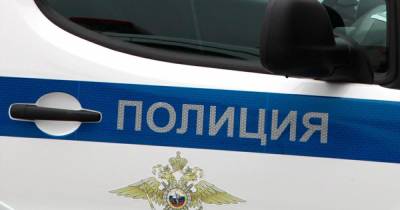 73-летнюю женщину зверски зарезали на участке в Новой Москве