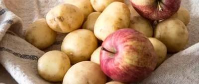 «Выделяют газ»: почему яблоки нельзя хранить рядом с картошкой