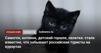 Самогон, котенок, детский горшок, палатка: стало известно, что забывают российские туристы на курортах