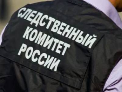Дело о доведении до самоубийства завели в Новосибирске после гибели семиклассницы