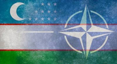 Узбекистан и НАТО обсудили перспективы сотрудничества