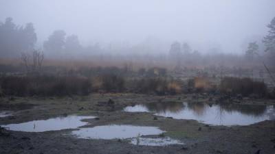 Тюменка увязла в болоте из-за фото заката