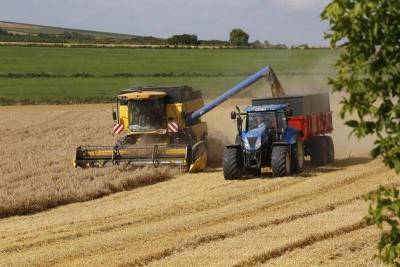 Цены на российскую пшеницу повысились до 9-летнего максимума