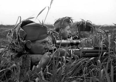 В каких случаях «победы» советских снайперов на фронте отказывались признавать - Русская семеркаРусская семерка