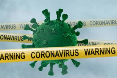 В Новгородской области коронавирусом заболели еще 211 человек