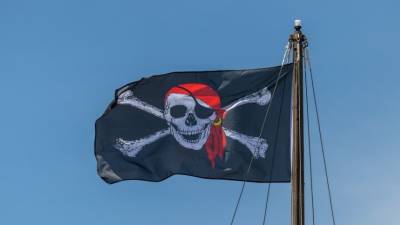Стали известны подробности спасения военными РФ панамских моряков от пиратов