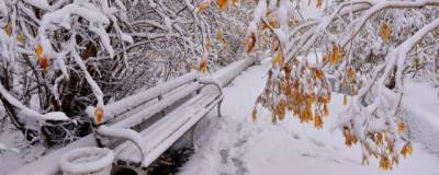 Синоптики сообщили жителям Ростовской области, когда выпадет первый снег